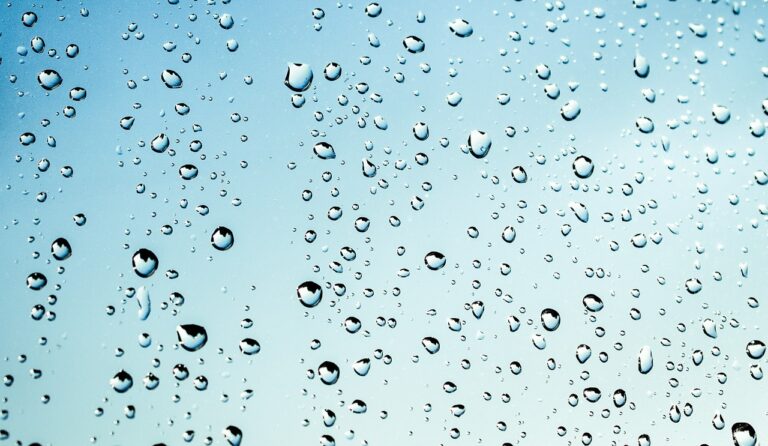 regen rain